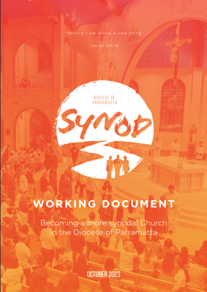 Diocesan Synod Working Document