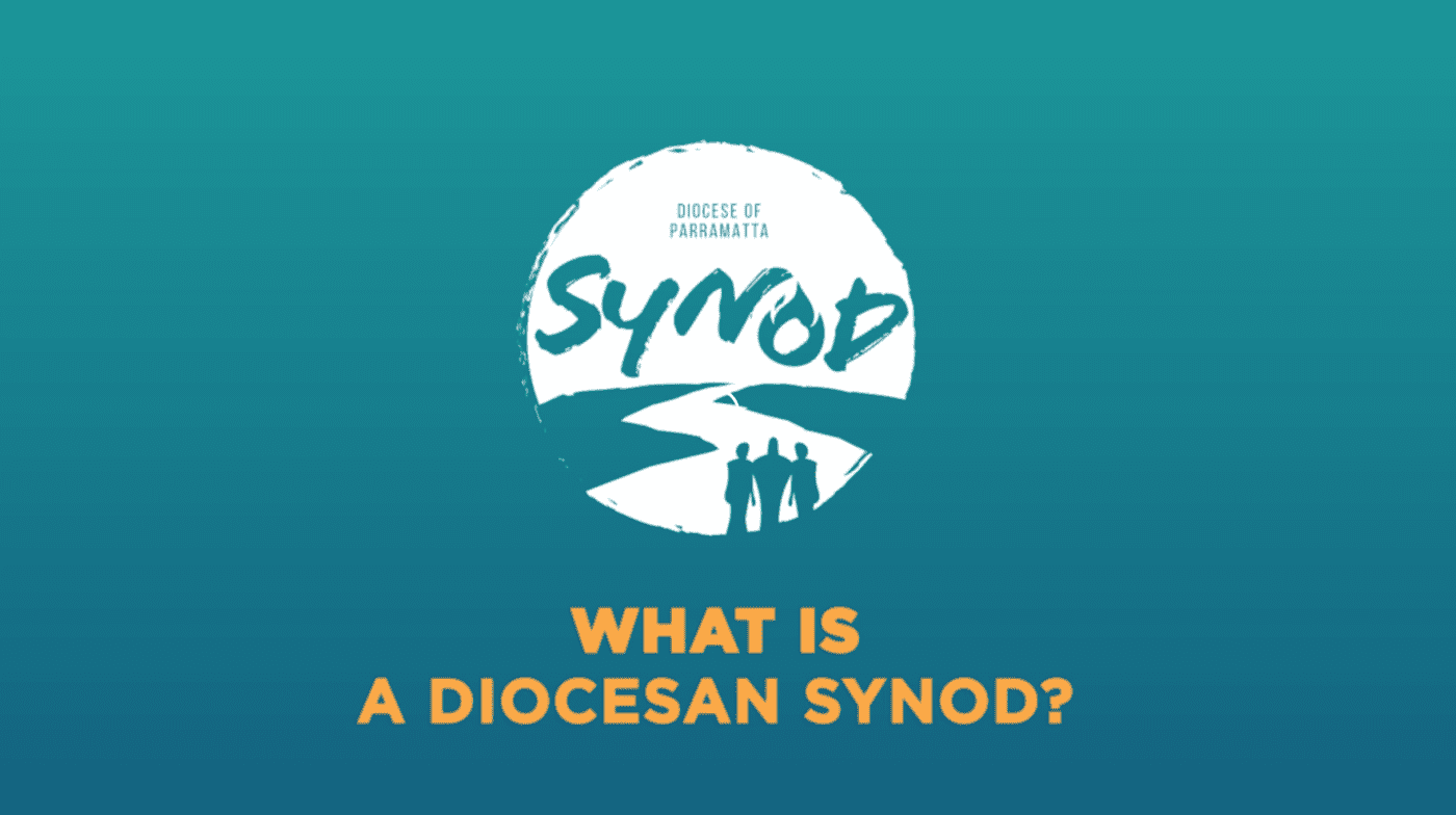 What is a Diocesan Synod
