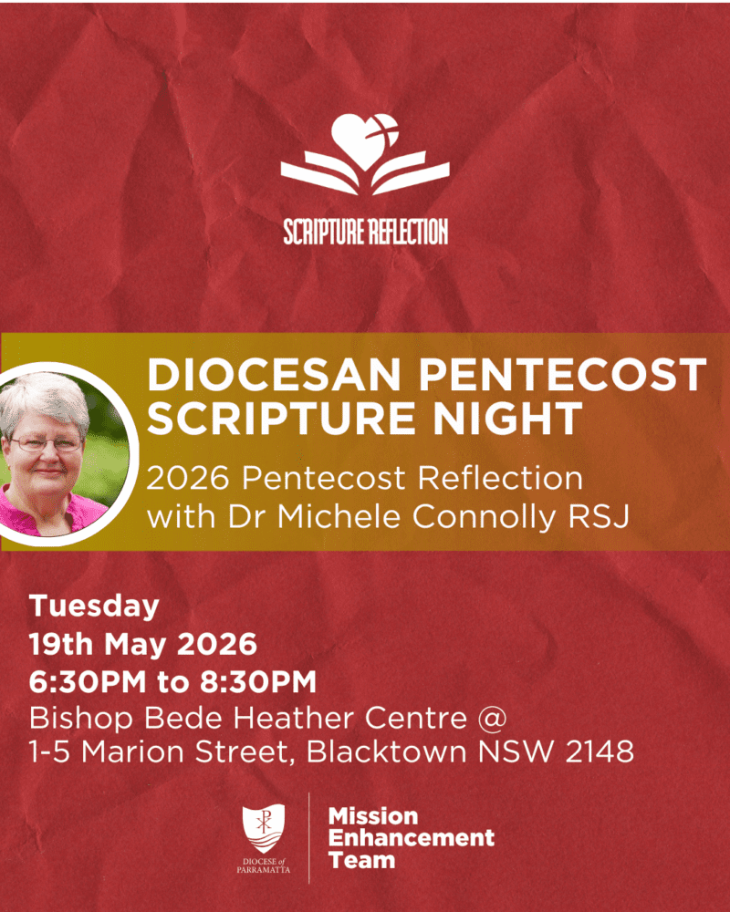 Diocesan Pentecost Scripture Evening with Dr Michele Connolly RSJ (19 May)