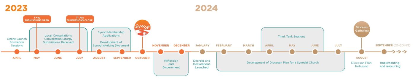 Diocesan Plan Timeline 2024