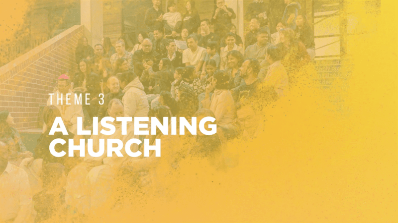 Diocesan Synod Reflective Video on Theme 3: A Listening Church
